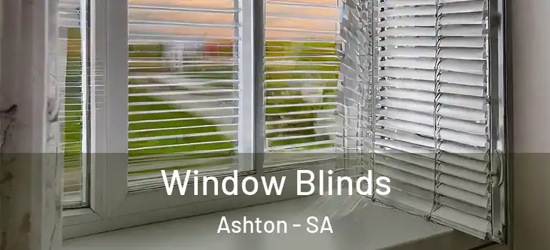 Window Blinds Ashton - SA
