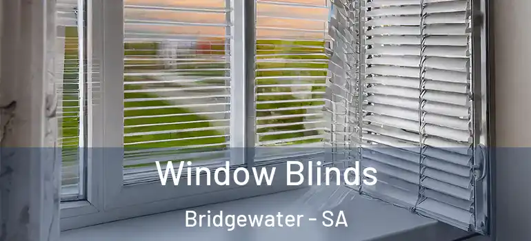 Window Blinds Bridgewater - SA