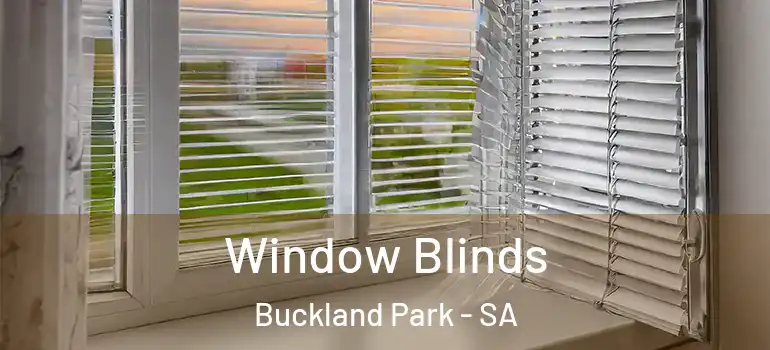 Window Blinds Buckland Park - SA