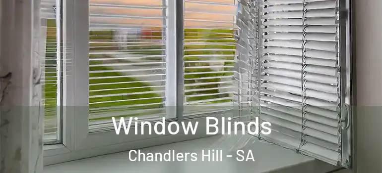 Window Blinds Chandlers Hill - SA