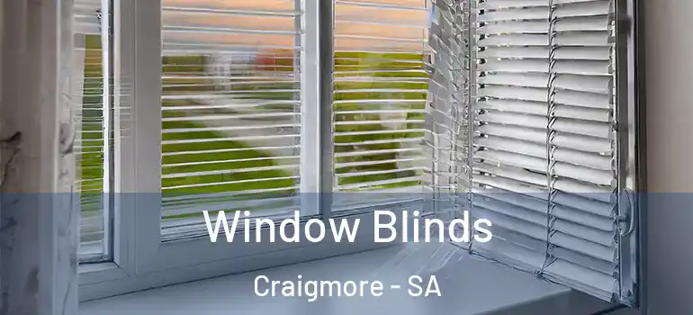 Window Blinds Craigmore - SA