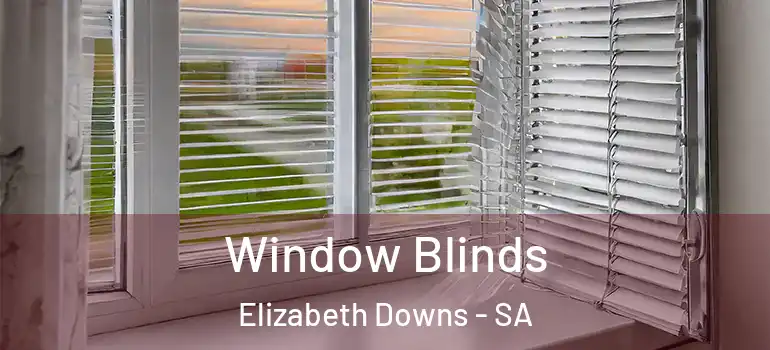 Window Blinds Elizabeth Downs - SA
