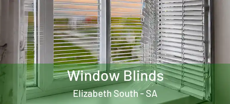 Window Blinds Elizabeth South - SA