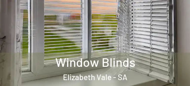 Window Blinds Elizabeth Vale - SA
