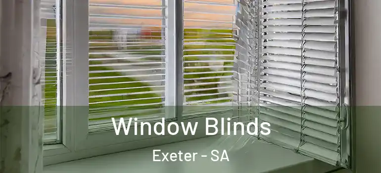 Window Blinds Exeter - SA