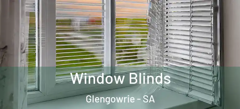 Window Blinds Glengowrie - SA