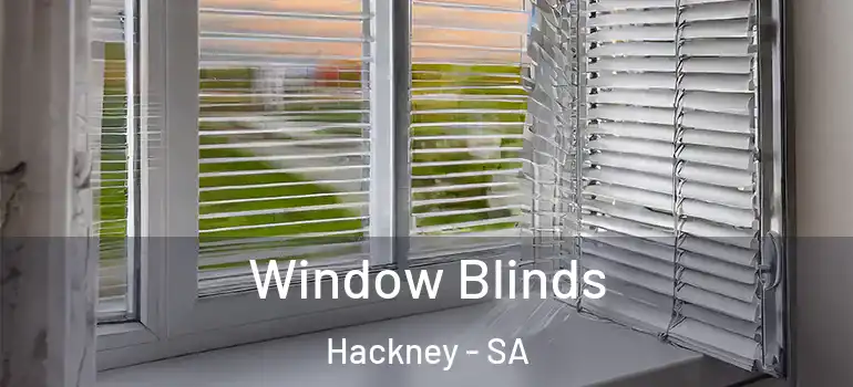 Window Blinds Hackney - SA