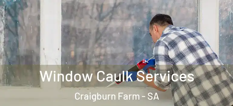 Window Caulk Services Craigburn Farm - SA