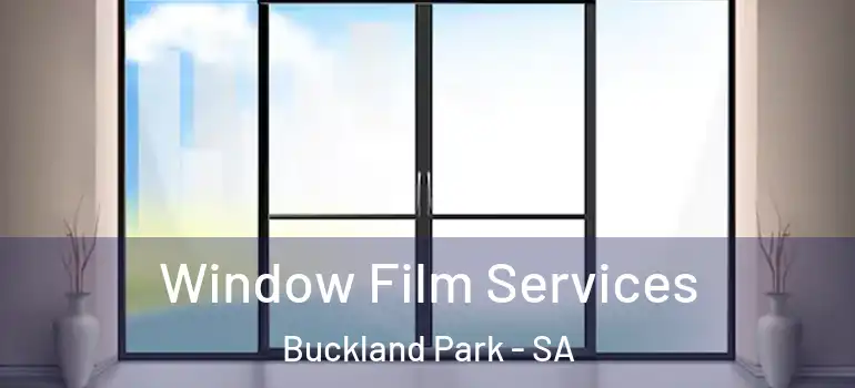 Window Film Services Buckland Park - SA