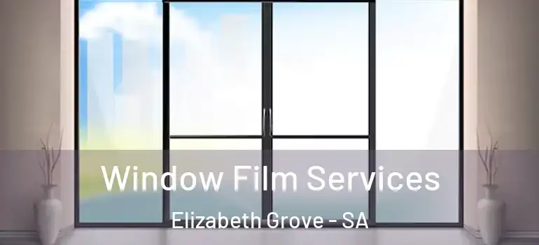 Window Film Services Elizabeth Grove - SA