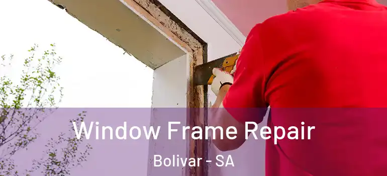 Window Frame Repair Bolivar - SA