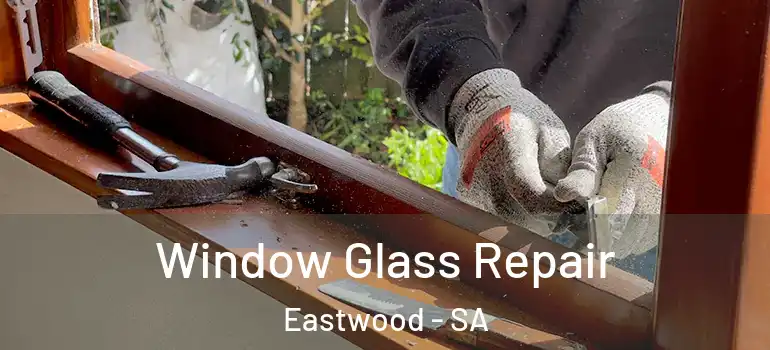 Window Glass Repair Eastwood - SA