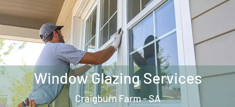 Window Glazing Services Craigburn Farm - SA