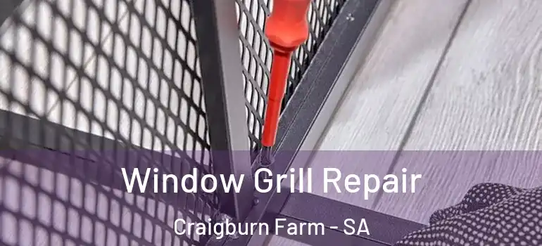 Window Grill Repair Craigburn Farm - SA