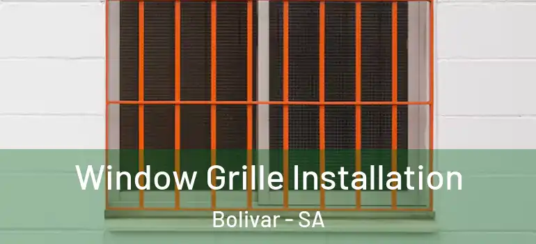Window Grille Installation Bolivar - SA