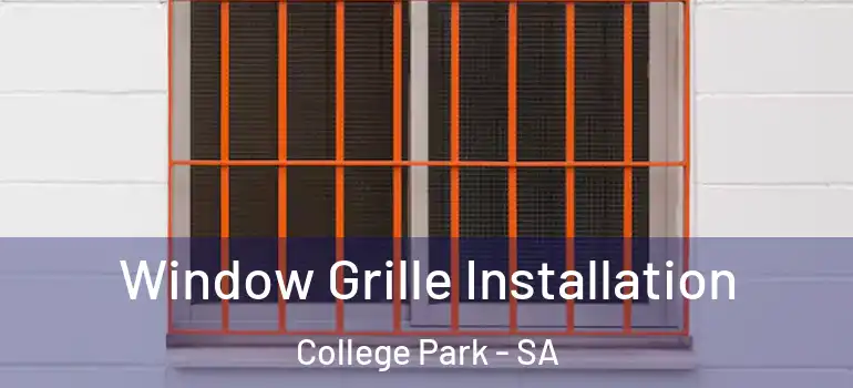 Window Grille Installation College Park - SA