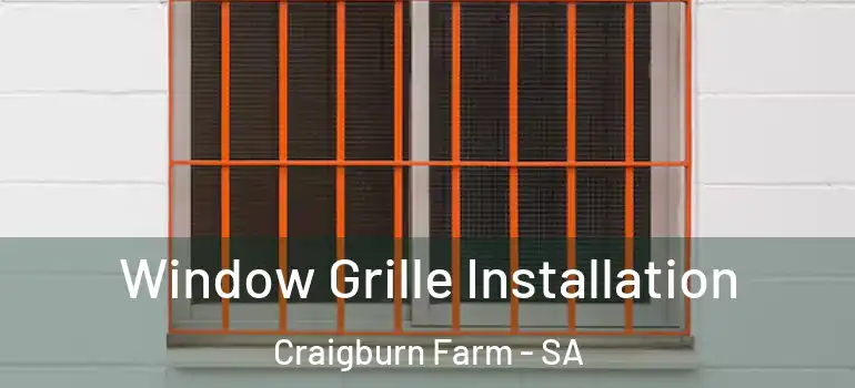 Window Grille Installation Craigburn Farm - SA