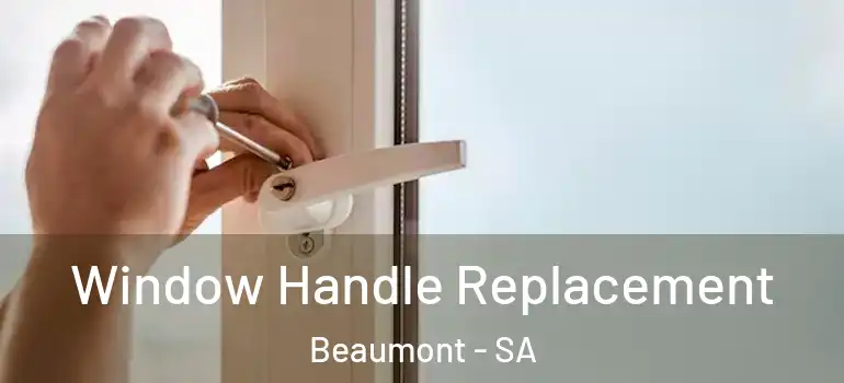 Window Handle Replacement Beaumont - SA