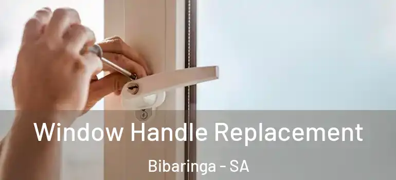 Window Handle Replacement Bibaringa - SA