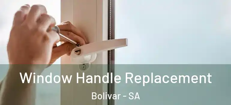 Window Handle Replacement Bolivar - SA