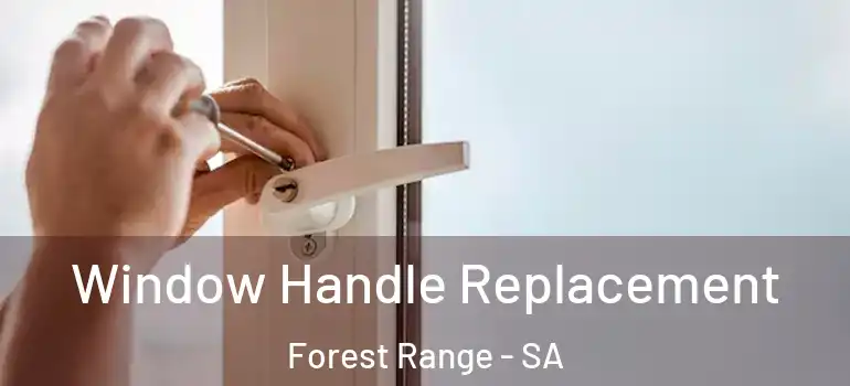 Window Handle Replacement Forest Range - SA