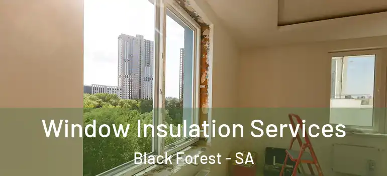 Window Insulation Services Black Forest - SA
