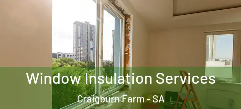  Window Insulation Services Craigburn Farm - SA
