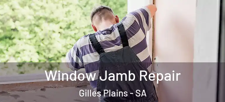 Window Jamb Repair Gilles Plains - SA