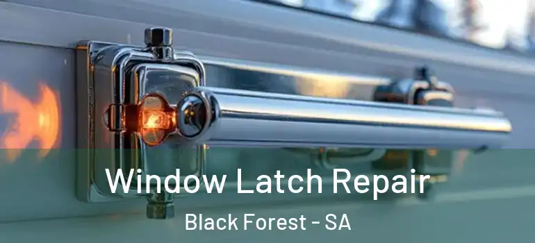 Window Latch Repair Black Forest - SA