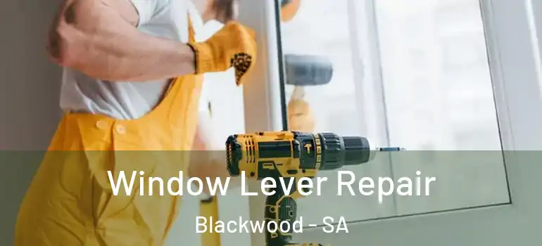  Window Lever Repair Blackwood - SA