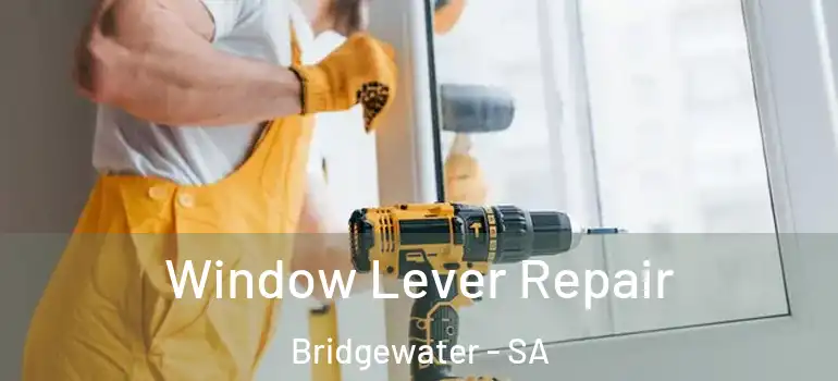 Window Lever Repair Bridgewater - SA