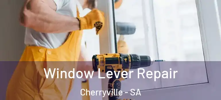 Window Lever Repair Cherryville - SA