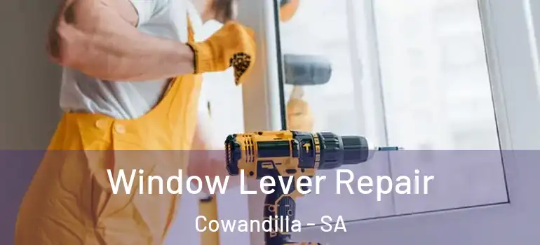  Window Lever Repair Cowandilla - SA
