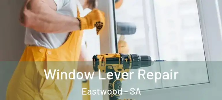  Window Lever Repair Eastwood - SA