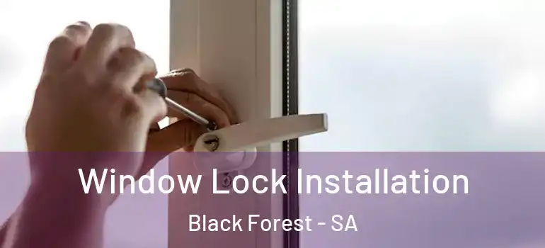 Window Lock Installation Black Forest - SA