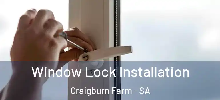 Window Lock Installation Craigburn Farm - SA