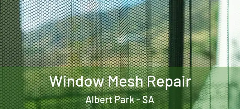 Window Mesh Repair Albert Park - SA