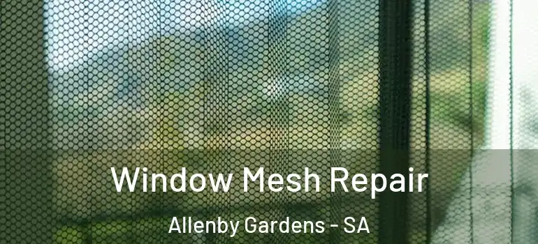  Window Mesh Repair Allenby Gardens - SA