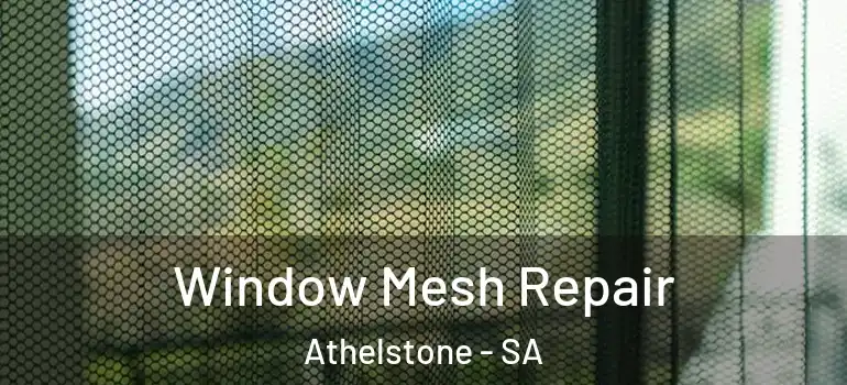 Window Mesh Repair Athelstone - SA