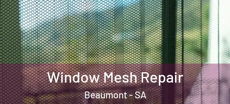 Window Mesh Repair Beaumont - SA