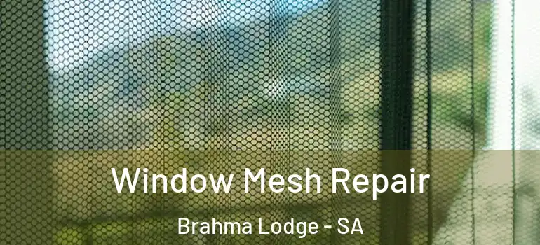 Window Mesh Repair Brahma Lodge - SA