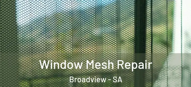 Window Mesh Repair Broadview - SA