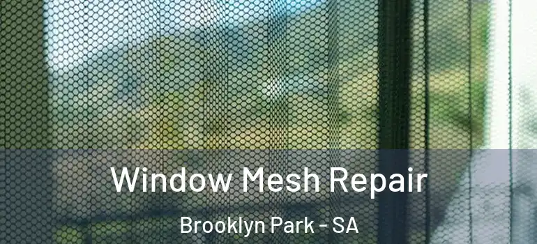  Window Mesh Repair Brooklyn Park - SA