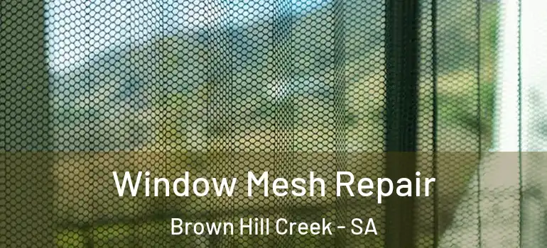 Window Mesh Repair Brown Hill Creek - SA