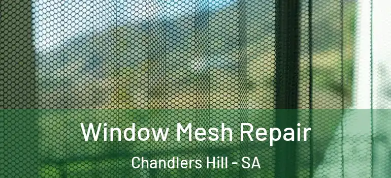 Window Mesh Repair Chandlers Hill - SA