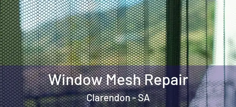 Window Mesh Repair Clarendon - SA