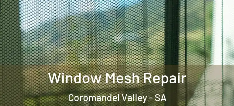 Window Mesh Repair Coromandel Valley - SA