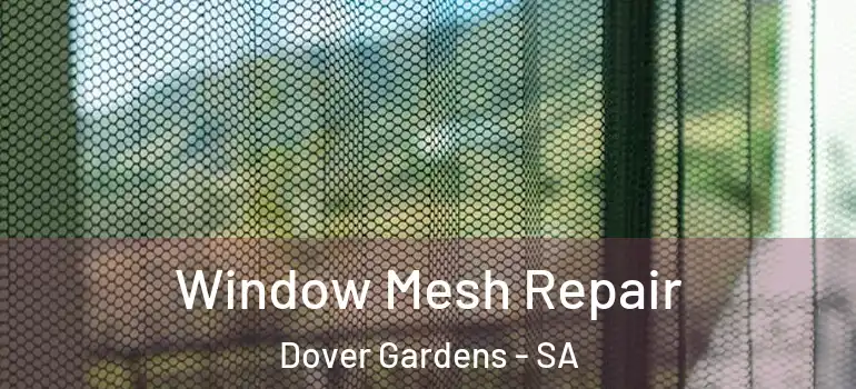 Window Mesh Repair Dover Gardens - SA