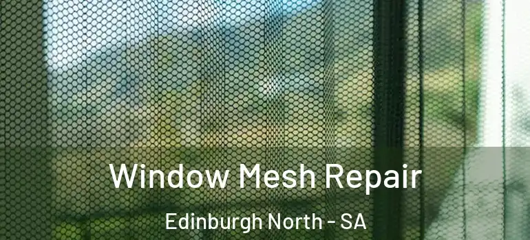 Window Mesh Repair Edinburgh North - SA