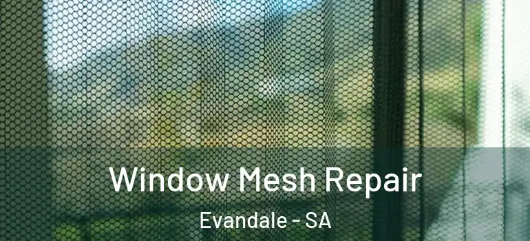 Window Mesh Repair Evandale - SA